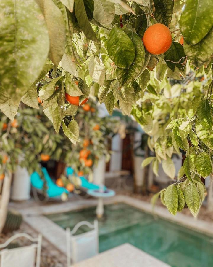 Riad Slitine & Spa Marrákes Kültér fotó